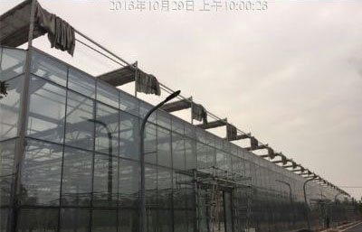 玻璃温室（陕西）